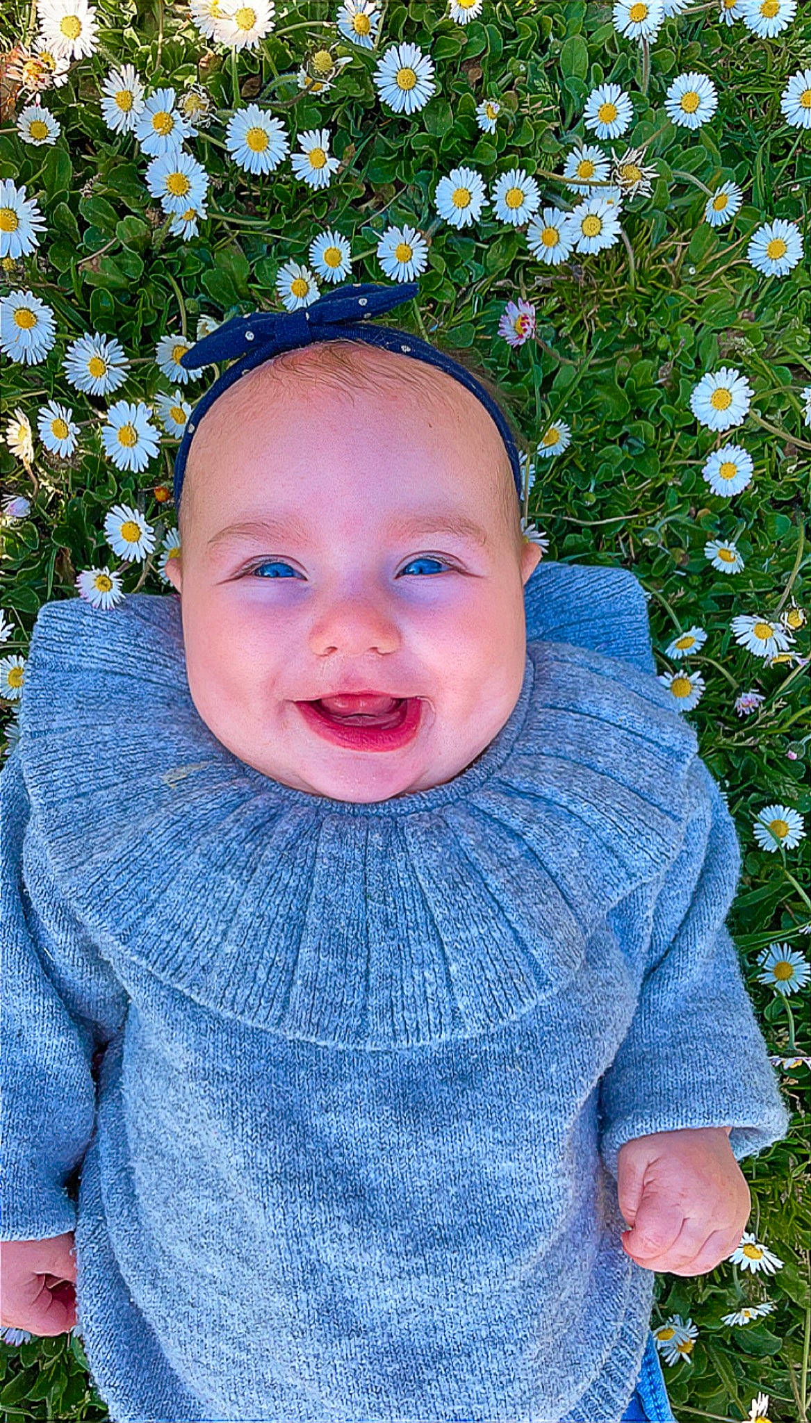 Louna a rejoint le concours — aidez-le/la à gagner de superbes lots ! azure, baby_toddler_clothing, blue, cheek, chin, clothing, eye, face, facial_expression, flower, green, hair, happy, head, joy, people_in_nature, person, plant, skin, sleeve
