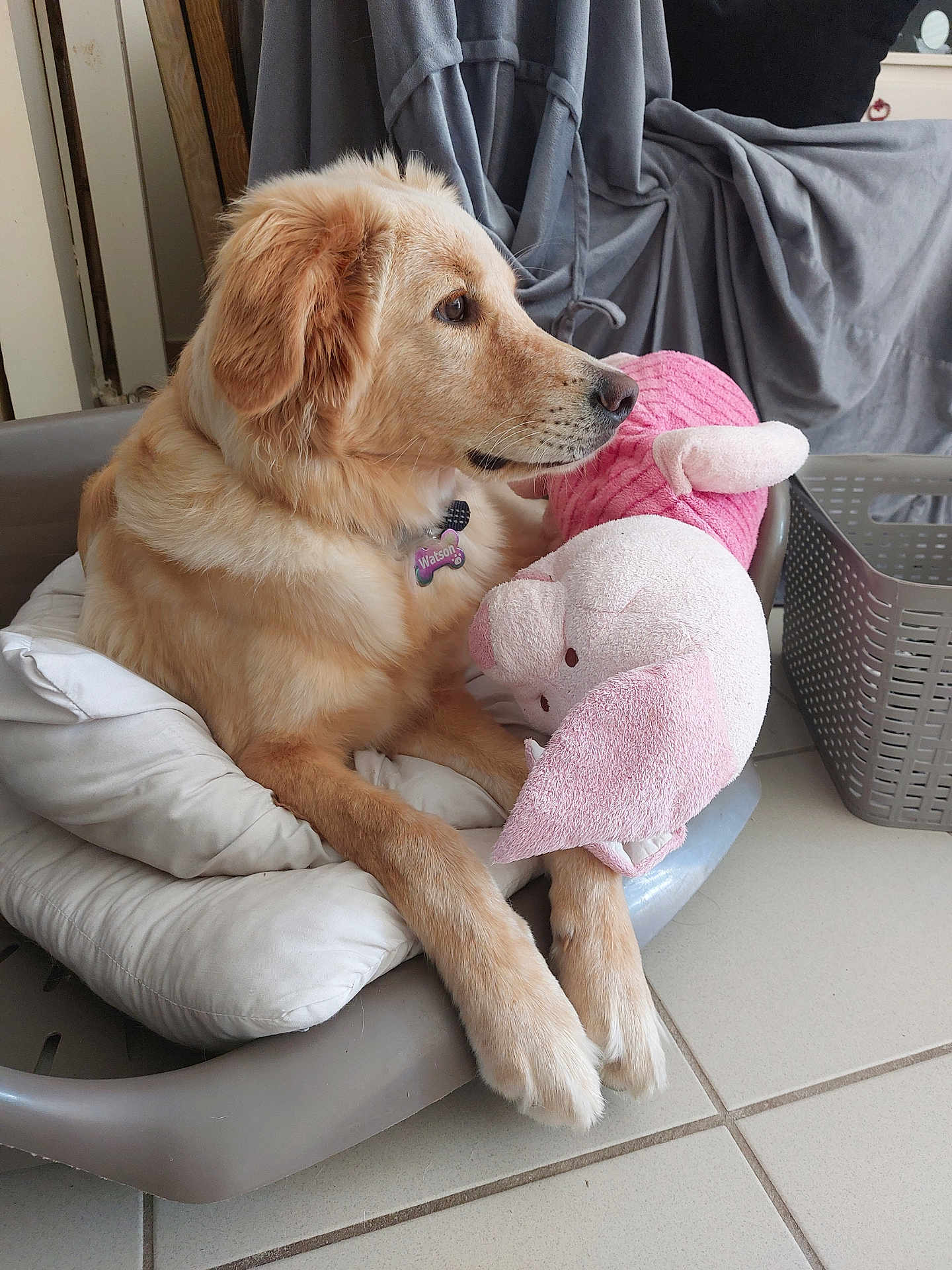 Watson