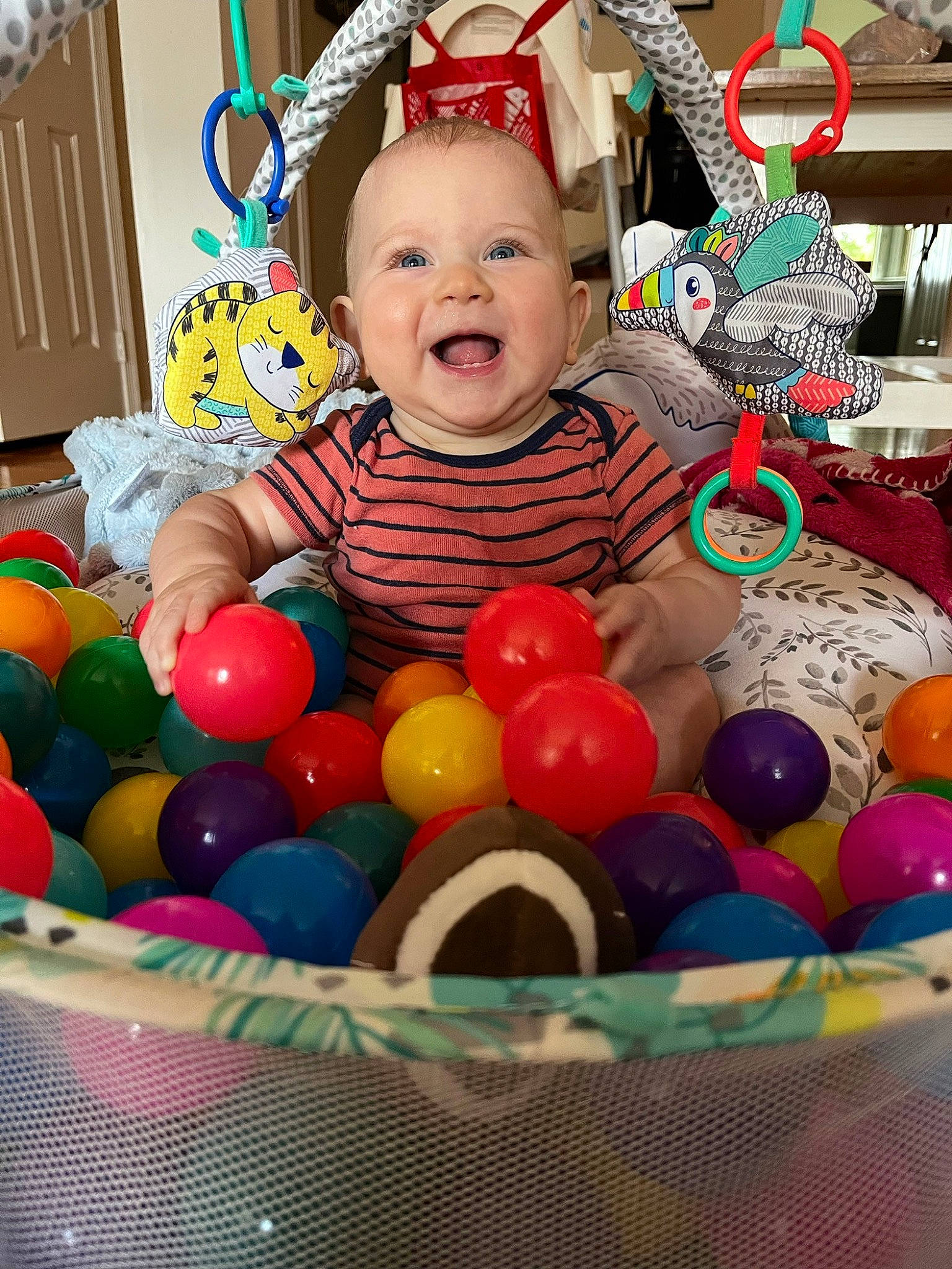 Jonathan is registered to the contest to win money with this photo: baby, baby_products, baby_toddler_clothing, baby_toys, ball, ball_pit, child, event, fun, happy, party, party_supply, person, photograph, play, room, smile, snapshot, sweetness, toddler