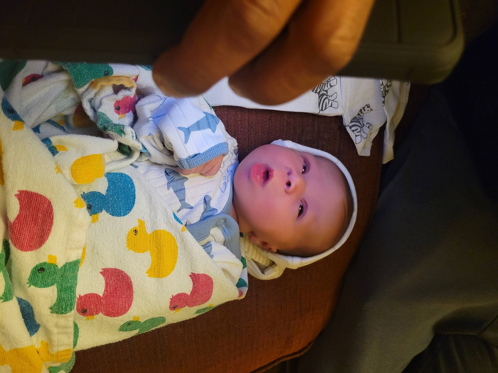 Davion joined the competition — help win amazing prizes! baby, baby_products, baby_toddler_clothing, cheek, child, comfort, finger, foot, gesture, hand, hat, human_leg, linens, nail, person, room, skin, textile, thumb, toddler