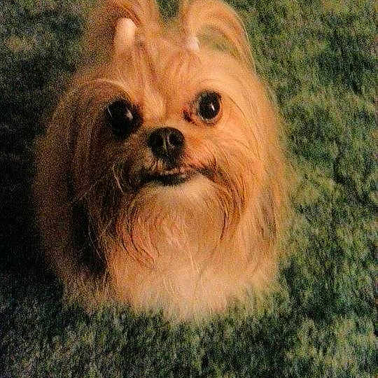 Precious