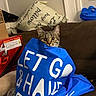 Myla is registered to the contest to win money with this photo: cat, tabby, blue_bag, couch, indoor, curious, pet, household_items, water_bottle, pillow, brown, reusable_bag, text, domestic_animal, feline, relaxed, cozy, sitting, room, curiosity