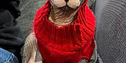 Smokey is registered to the contest to win money with this photo: sphynx_cat, cat, pet, animal, indoor, red_sweater, knitwear, gray_blanket, close_up, wrinkled_skin, large_ears, green_eyes, feline, cute, domestic_animal, portrait, sitting, cozy, texture, home
