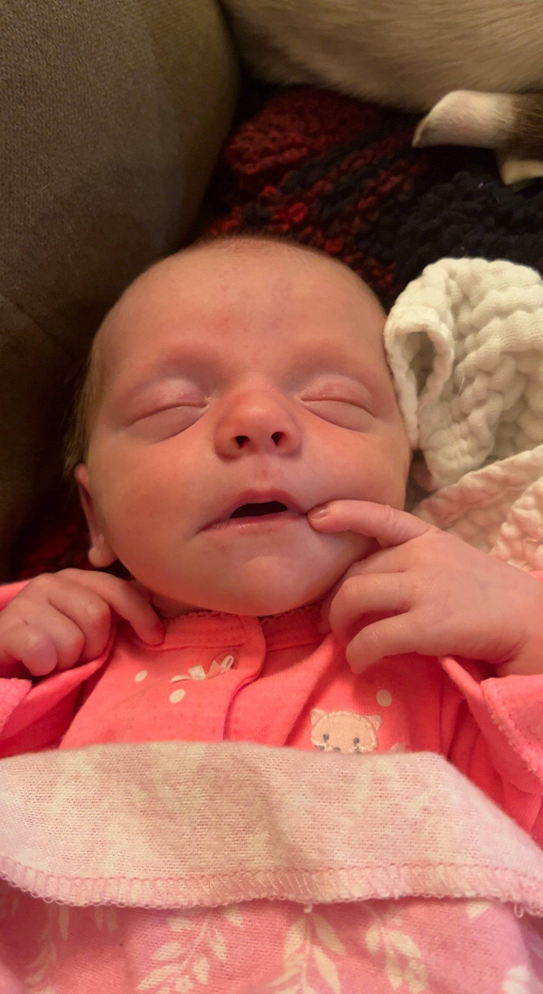 Macie is registered to the contest to win money with this photo: baby, baby_toddler_clothing, cheek, child, chin, comfort, eye, eyebrow, finger, happy, head, lip, mouth, nose, person, pink, skin, smile, thumb, toddler