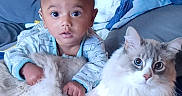 Luca joined the competition — help win amazing prizes! baby, child, cat, fluffy_cat, pajamas, blanket, couch, indoor, home, pet, animal, cute, curious, wide_eyes, soft, comfortable, sitting, together, bond, brothers