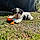 Daisy