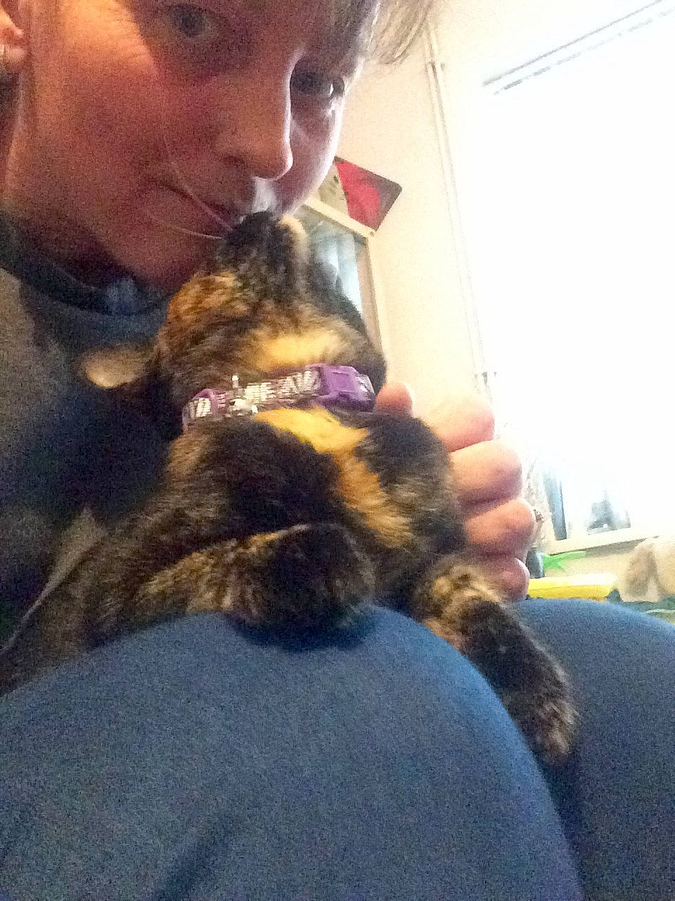 Kiera joined the competition — help win amazing prizes! carnivoran, cat, cat_like_mammal, dog_breed_group, facial_hair, fur, kitten, person, selfie, small_to_medium_sized_cats, snout, whiskers