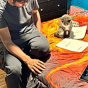 Kasper joined the competition — help win amazing prizes! bed, blanket, casual, cat, clothing, drawer, furniture, gray_cat, indoor, orange, paper, person, relaxed, room, sitting, study, tablet, white_cat, wood_floor, young_adult