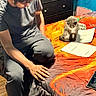 bed, blanket, casual, cat, clothing, drawer, furniture, gray_cat, indoor, orange, paper, person, relaxed, room, sitting, study, tablet, white_cat, wood_floor, young_adult
