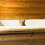 animal, bathtub, cat, clean, closeup, cozy, curious, ears, eyes, face, feline, home, indoor, interior, orange_tabby, pet, quiet, resting, sitting, wooden_panels