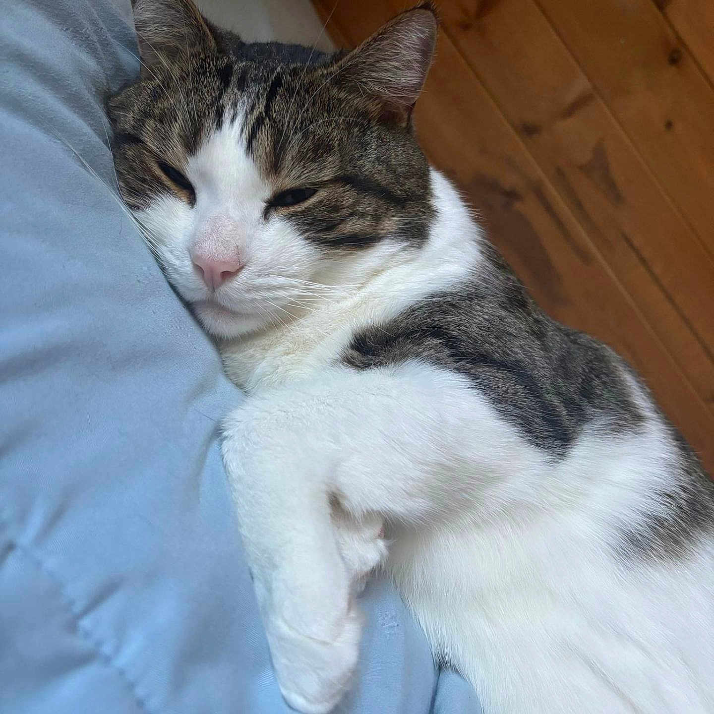 Oliver