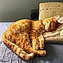 cat, orange_tabby, sleeping, pillow, blanket, bed, resting, cozy, indoor, pet, feline, fur, tail, whiskers, relaxation, comfort, domestic_animal, cute, nap, home