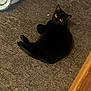black_cat, cat, pet, animal, indoor, carpet, yellow_eyes, feline, looking_up, curious, resting, cozy, striped_fabric, floor, domestic_animal, cute, fur, whiskers, relaxed, home