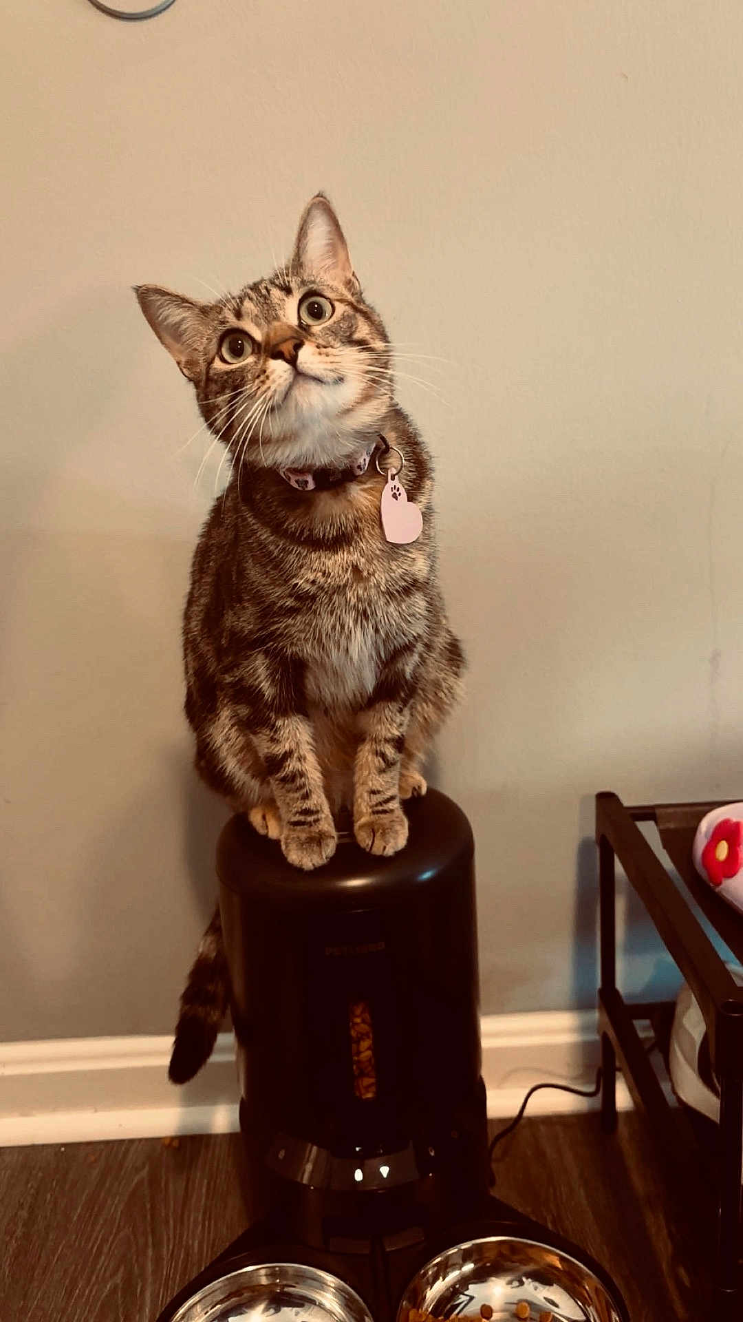 Ella