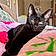 Binx