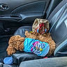dog, curly_fur, small_dog, brown_fur, sleeping, lying_down, car, passenger_seat, vehicle_interior, blue_clothing, cartoon_design, pet_clothing, fast_food_bag, seat_belt, door_panel, car_seat, road_trip, relaxed, animal, indoor