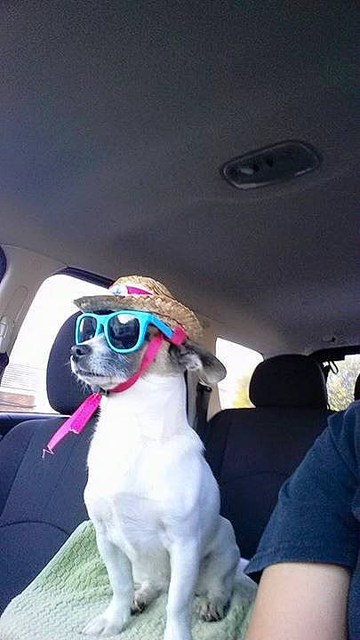 Chloe joined the competition — help win amazing prizes!