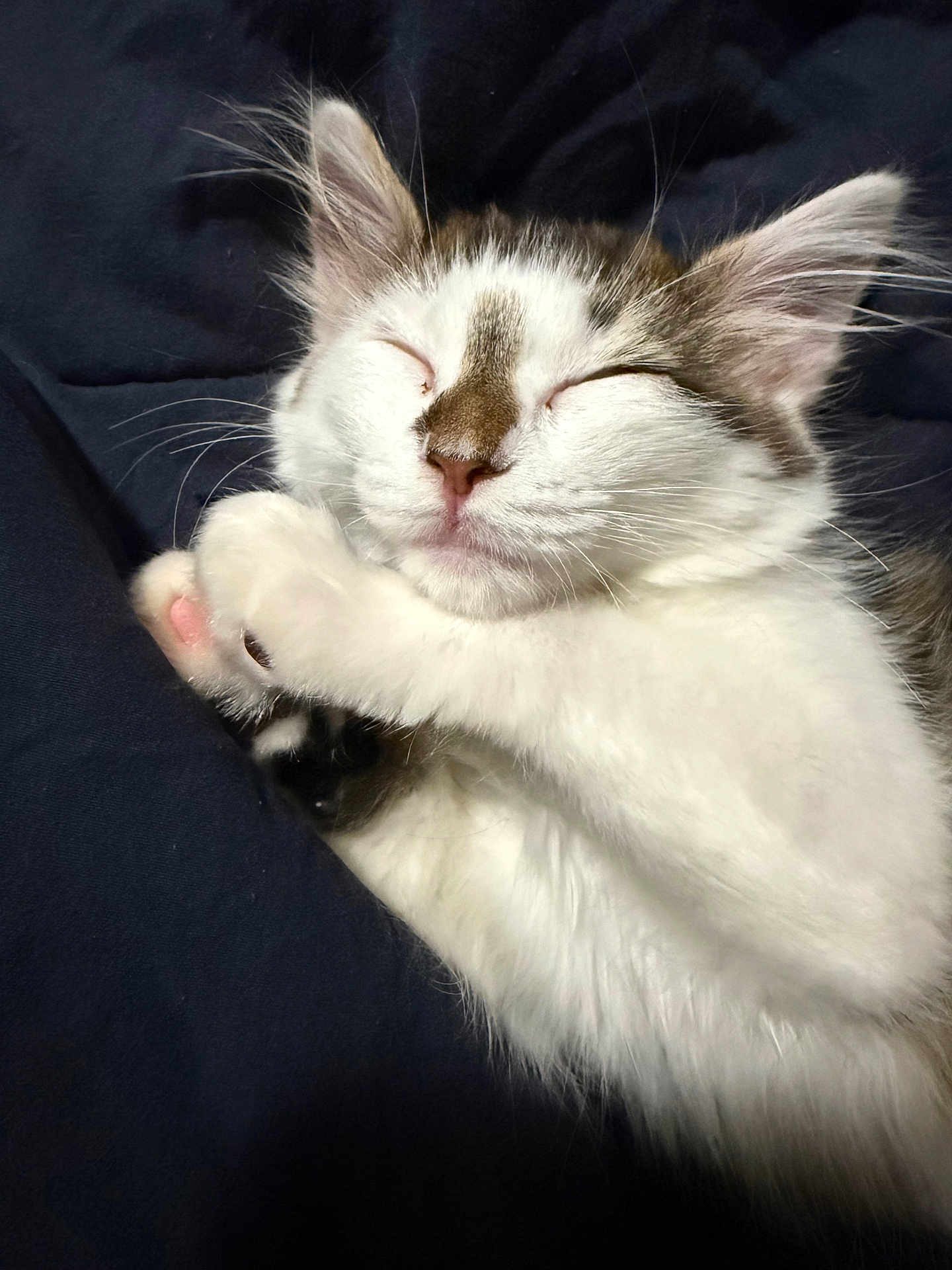 Minnie