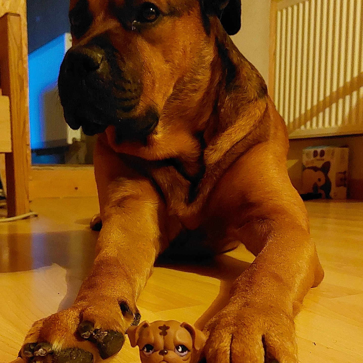 Tyson