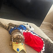 Gizmo is registered to the contest to win money with this photo: cat, tabby_cat, costume, crown, cape, sofa, controller, gaming, indoor, pet, relaxed, feline, plush, fabric, living_room, floor, wood_floor, playful, accessory, resting
