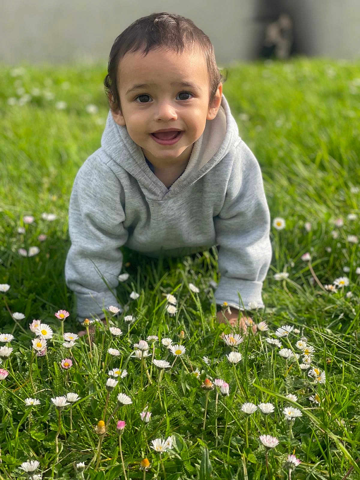 Caméo participe au concours pour gagner de l'argent avec cette photo : toddler, child, hoodie, grass, flowers, daisies, outdoor, nature, greenery, happy, smiling, crawling, cute, young_child, portrait, sunlight, casual_clothing, playful, spring, baby