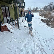 Rosie is registered to the contest to win money with this photo: person, dog, german_shepherd, snow, winter, footprints, sidewalk, apartment_building, trees, cloudy_sky, leash, coat, hoodie, outdoor, cold_weather, grass, fence, chair, stool, blanket