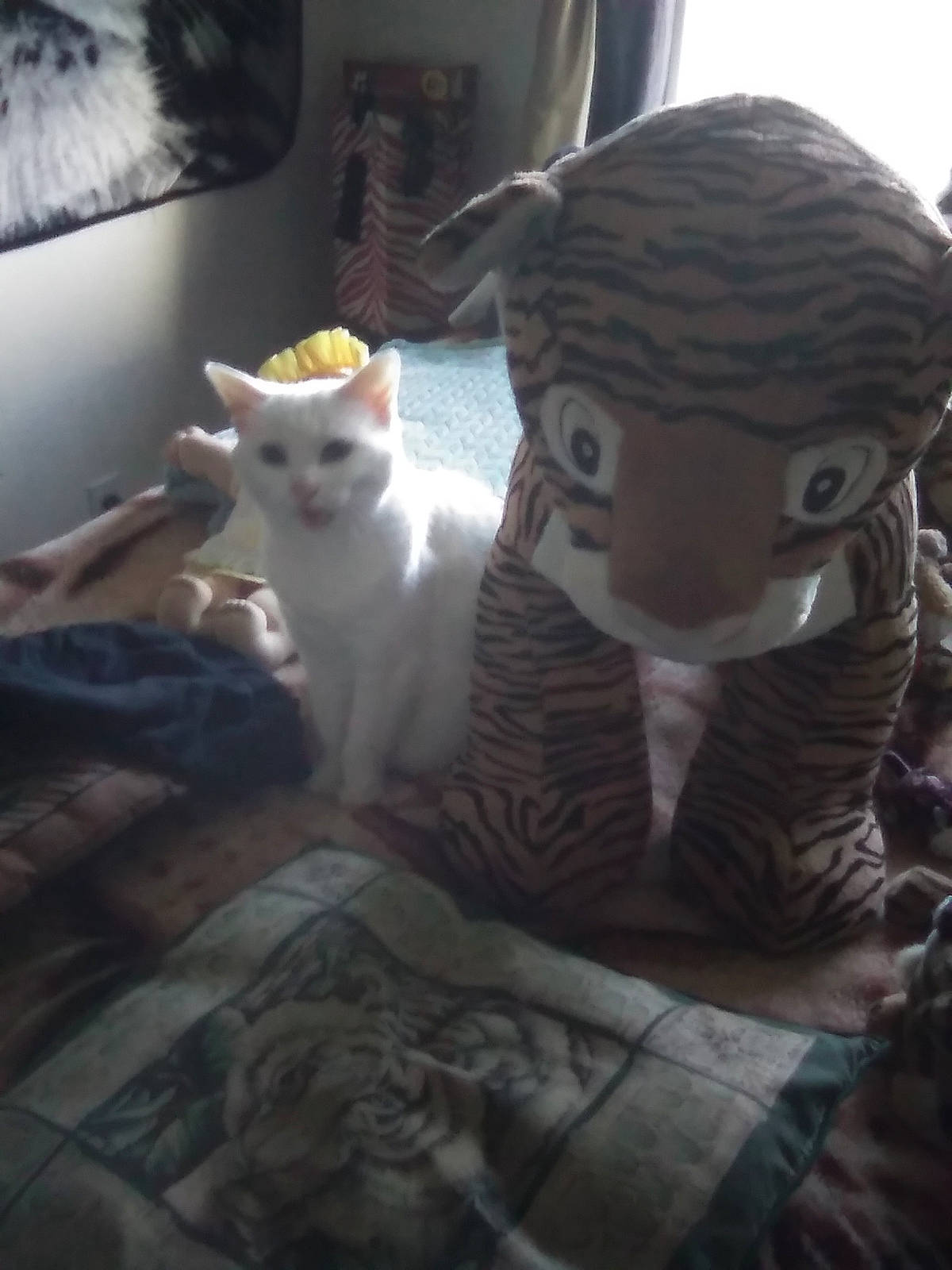 Cheechee is registered to the contest to win money with this photo: bed, carnivore, cat, domestic_short_haired_cat, felidae, fur, linens, living_room, paw, room, small_to_medium_sized_cats, stuffed_toy, tail, toy, turkish_angora, vertebrate, whiskers