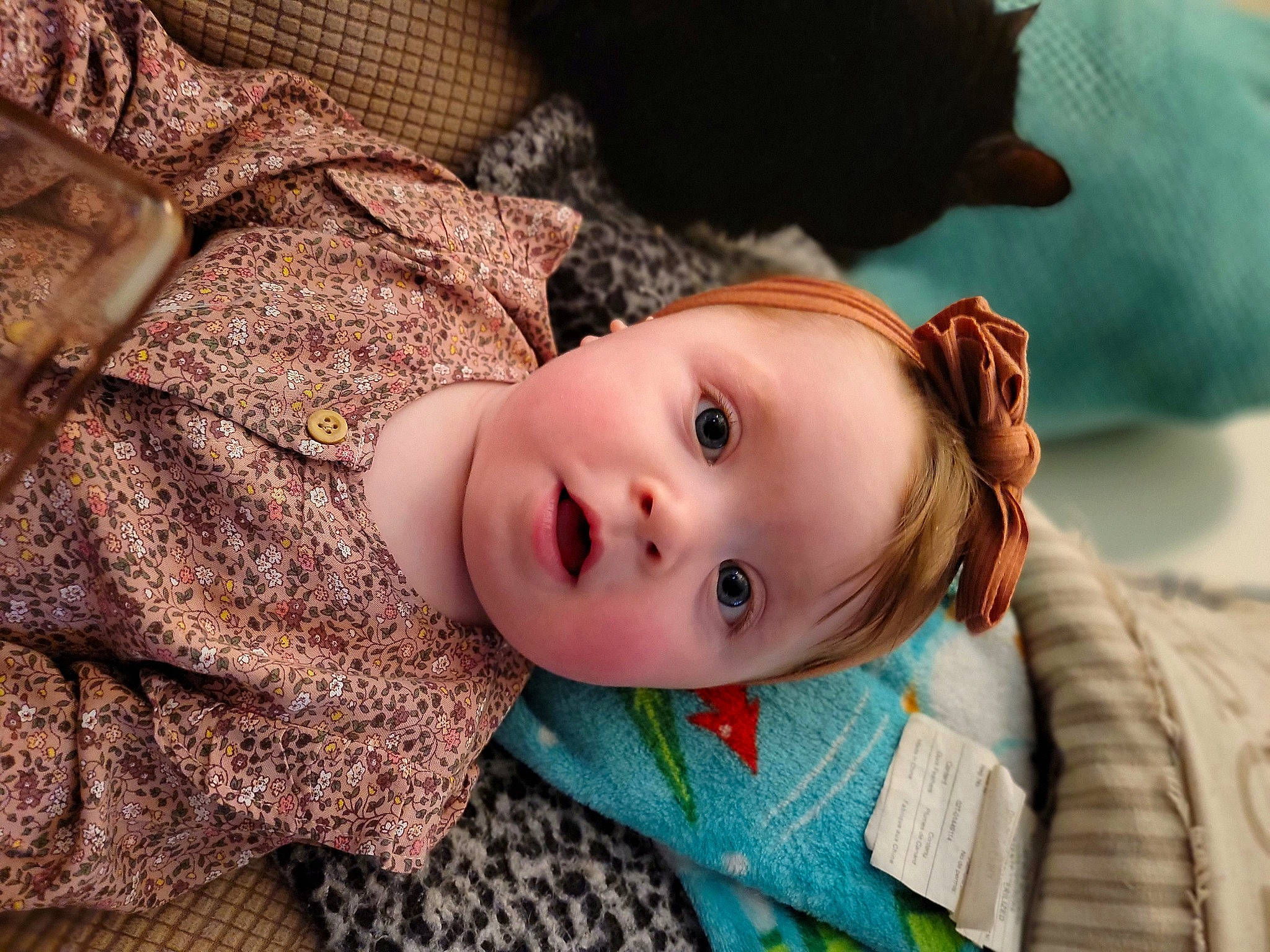 Evelyn Grace joined the competition — help win amazing prizes! baby, baby_toddler_clothing, brown_hair, cheek, chin, comfort, eye, eyelash, face, happy, head, human_body, iris, lip, nose, person, skin, sleeve, toddler, tree