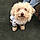 Charlie