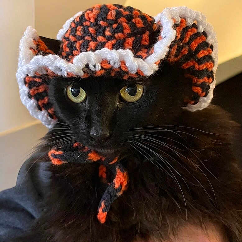 Fiero is registered to the contest to win money with this photo: animal, black, black_cat, cat, close_up, costume, crocheted_hat, cute, feline, handmade, headwear, indoor, knit, orange, pet, portrait, whiskers, white, wide_eyes, yarn