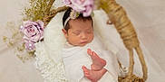 Kylie is registered to the contest to win money with this photo: newborn, baby, sleeping, wrapped, basket, flowers, purple_flowers, blanket, headband, peaceful, infant, soft, delicate, cute, foot, resting, cozy, portrait, closeup, decorative