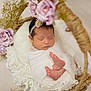 Kylie is registered to the contest to win money with this photo: newborn, baby, sleeping, wrapped, basket, flowers, purple_flowers, blanket, headband, peaceful, infant, soft, delicate, cute, foot, resting, cozy, portrait, closeup, decorative