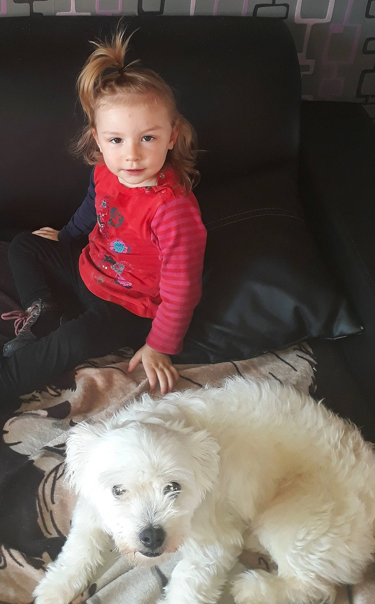 Emilie a rejoint le concours — aidez-le/la à gagner de superbes lots ! canidae, carnivore, cavachon, child, companion_dog, coton_de_tulear, dog, dog_breed, fur, maltepoo, maltese, non_sporting_group, nose, person, puppy, puppy_love, schnoodle, skin, toddler