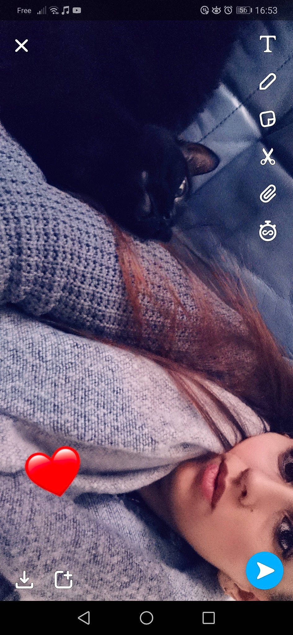 Mounette a rejoint le concours — aidez-le/la à gagner de superbes lots ! black_hair, cat, ear, felidae, flesh, gesture, hand, knitting, leg, lip, love, mouth, nap, nose, photography, selfie