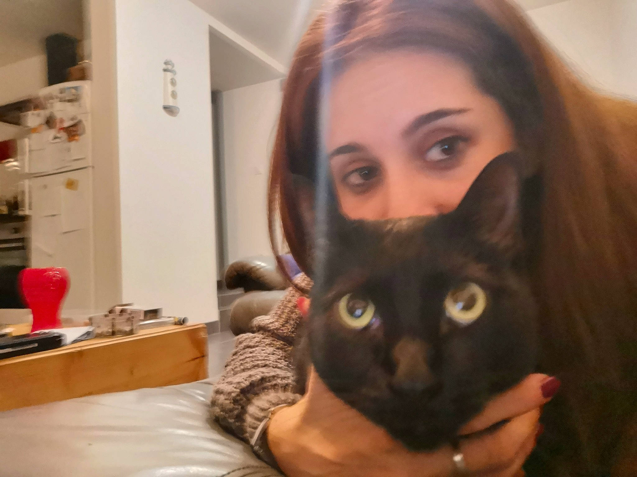 Mounette participe au concours pour gagner de l'argent avec cette photo : asian, black_cat, black_hair, bombay, carnivore, cat, domestic_short_haired_cat, eye, face, felidae, hair, havana_brown, head, long_hair, nose, photography, selfie, small_to_medium_sized_cats, snout, whiskers