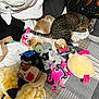 cat, dog, plush_toys, bed, blanket, sleeping, stuffed_animals, indoor, collar, striped_cat, patchwork_quilt, soft_toys, resting, cozy, animal, pet, fur, cute, domestic, relaxed