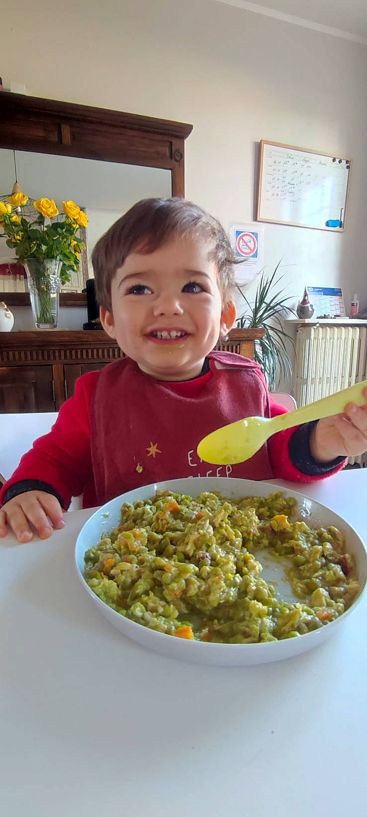 Angel a rejoint le concours — aidez-le/la à gagner de superbes lots ! chair, cuisine, dish, flower, flowerpot, food, food_craving, houseplant, ingredient, joy, leaf_vegetable, person, plant, plate, produce, recipe, sharing, smile, staple_food, tableware