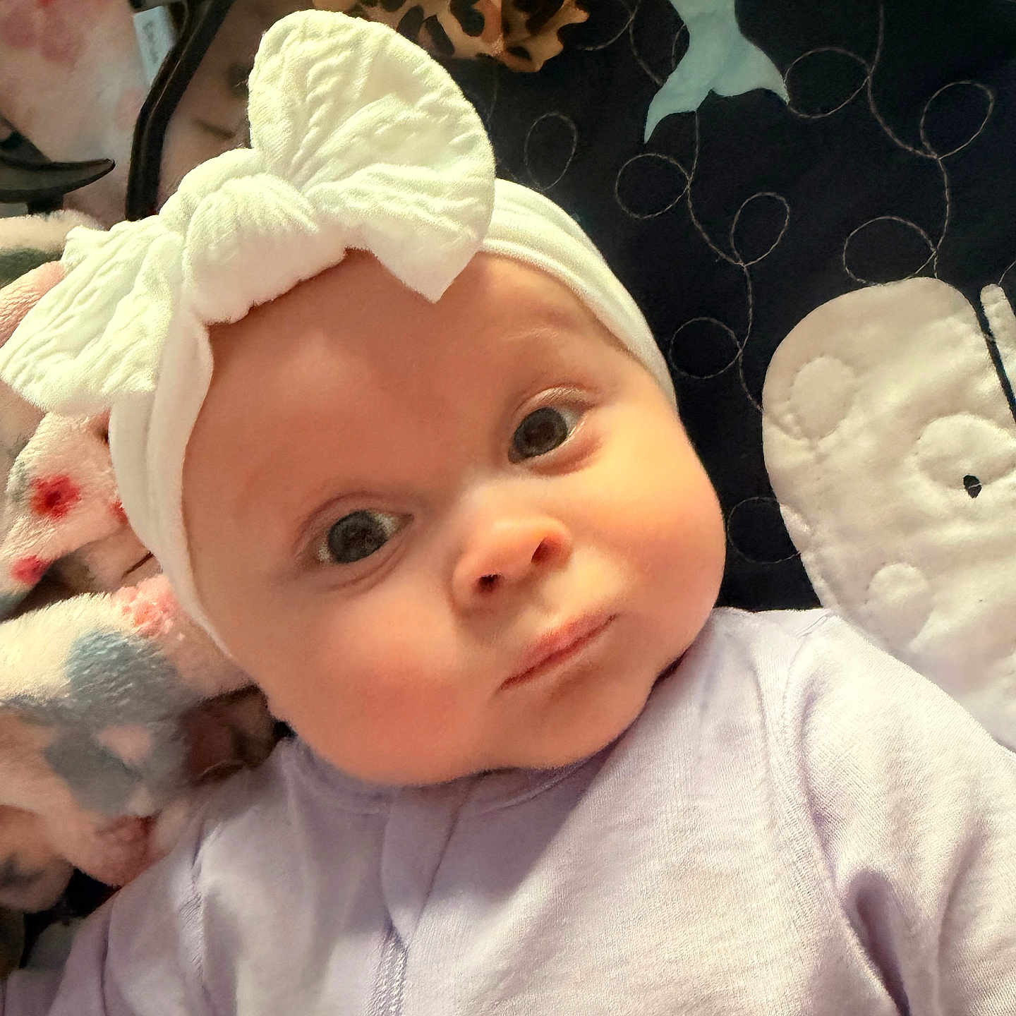 Lailynn is registered to the contest to win money with this photo: baby, infant, headband, bow, purple_onesie, face, eyes, blanket, pattern, cute, child, portrait, soft_lighting, indoors, closeup, newborn, expression, baby_girl, adorable, cozy