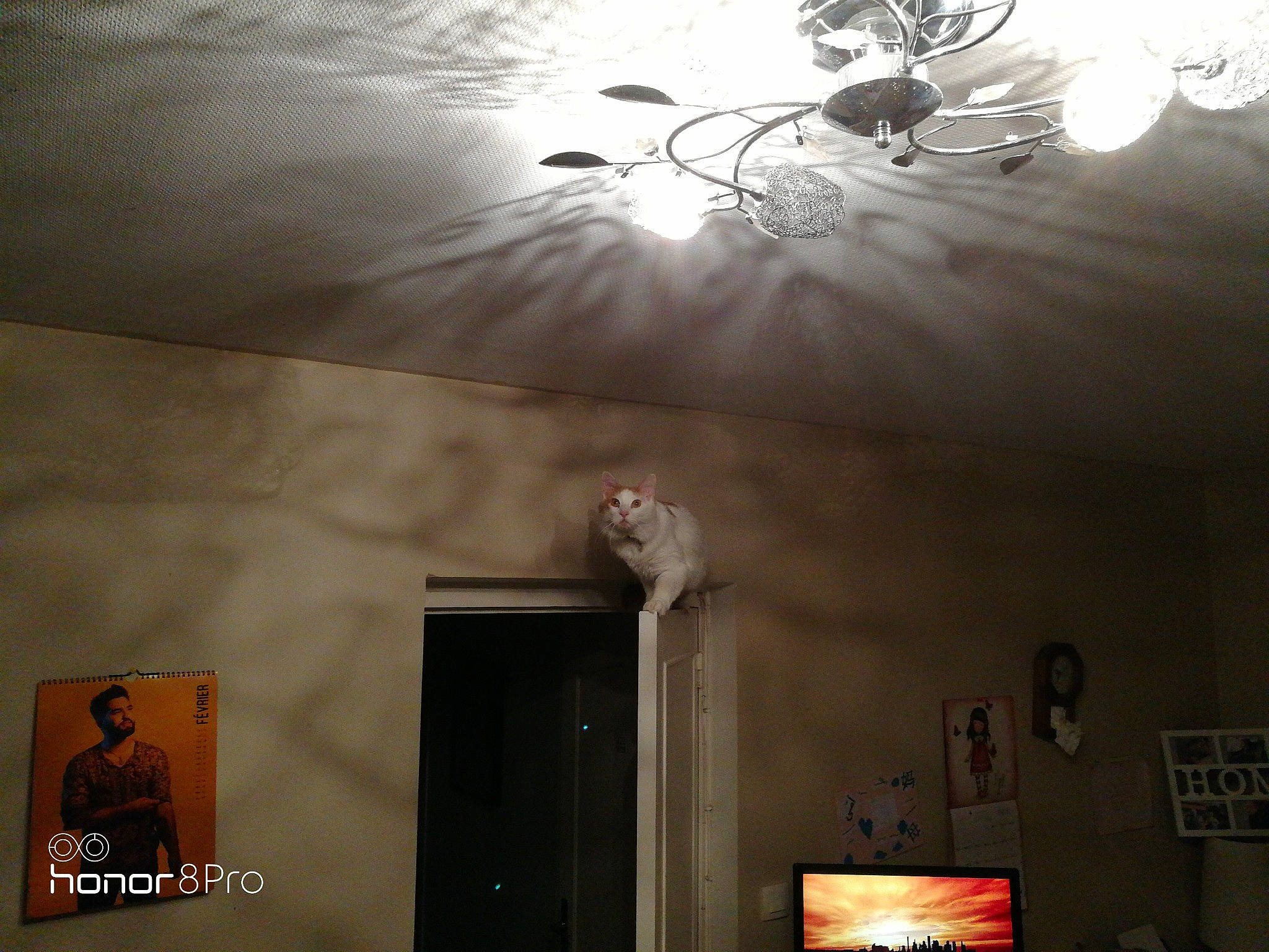 Othéllo a rejoint le concours — aidez-le/la à gagner de superbes lots ! ceiling, ceiling_fixture, chandelier, incandescent_light_bulb, interior_design, lamp, light, light_fixture, lighting, lighting_accessory, nightlight, person, plaster, room, tints_and_shades, wall