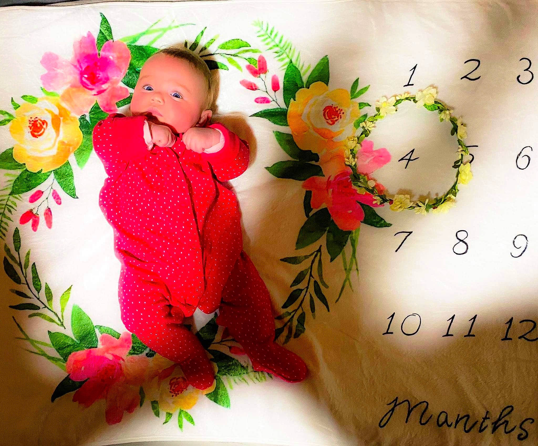 Savanah a rejoint le concours — aidez-le/la à gagner de superbes lots ! artificial_flower, bouquet, costume_accessory, creative_arts, cut_flowers, floral_design, floribunda, floristry, flower, flower_arranging, flowering_plant, garden_roses, hybrid_tea_rose, illustration, peach, person, petal, pink, rose, rose_family