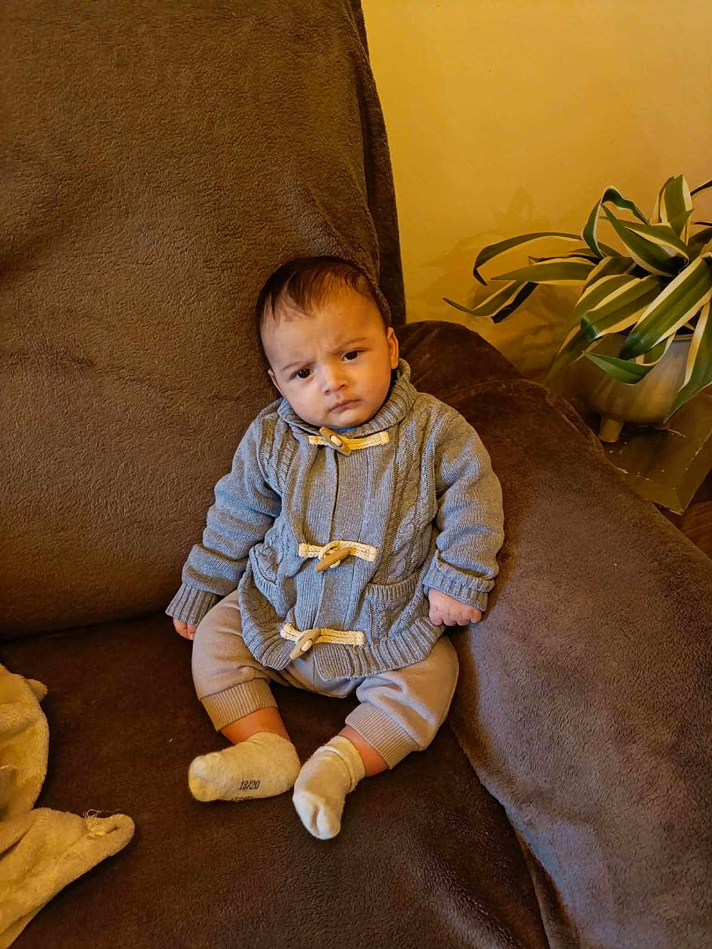 Léo participe au concours pour gagner de l'argent avec cette photo : baby, infant, child, sitting, couch, sofa, brown_couch, sweater, knitwear, socks, blanket, potted_plant, houseplant, living_room, indoor, portrait, expression, frown, cushion, furniture