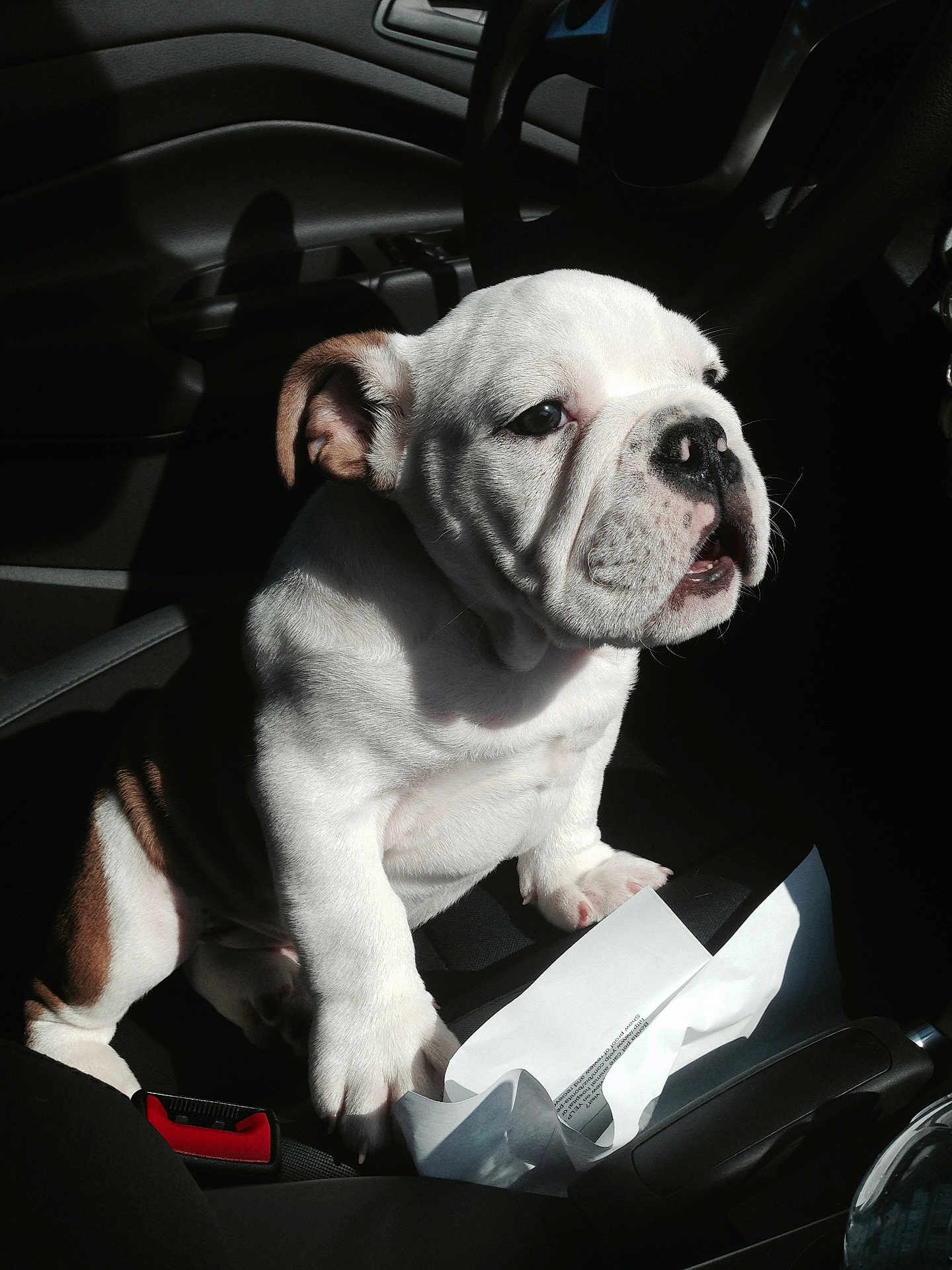 Tyson