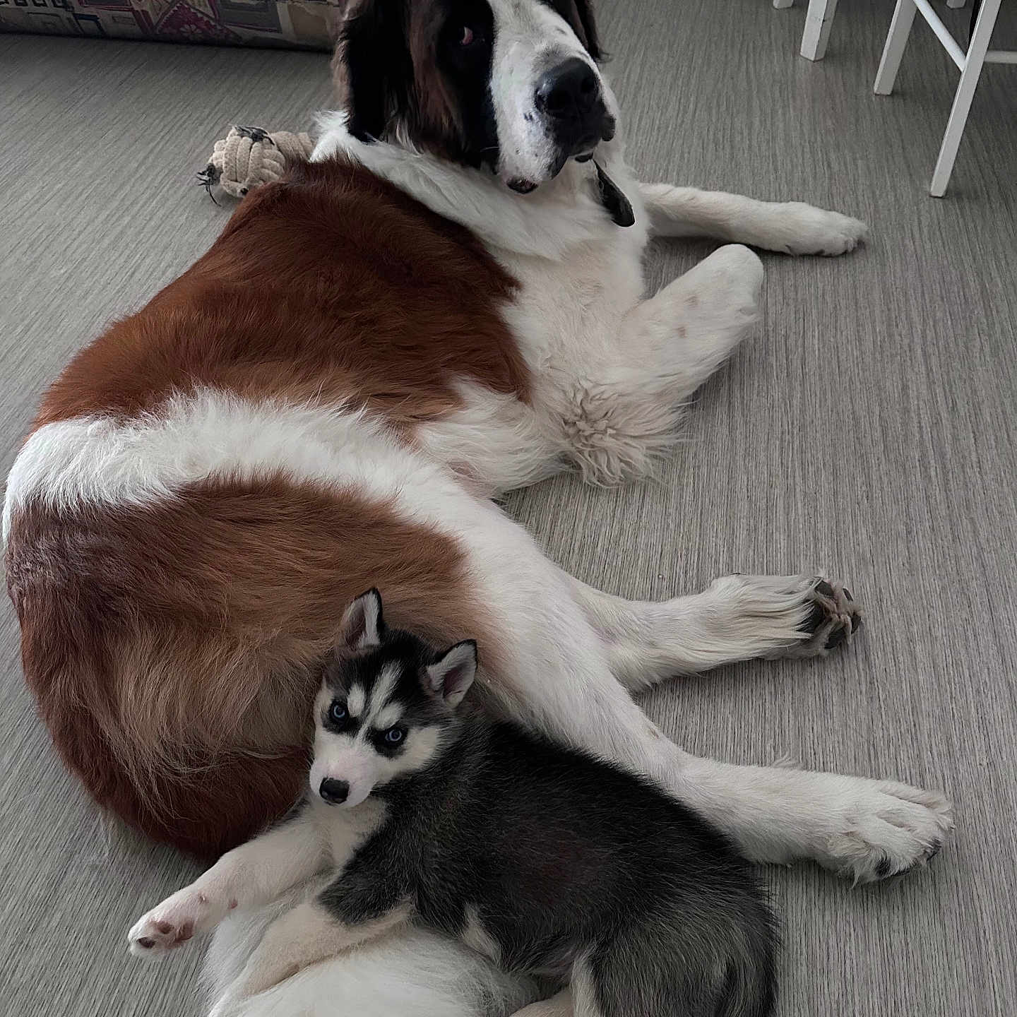 Athena Et Titan