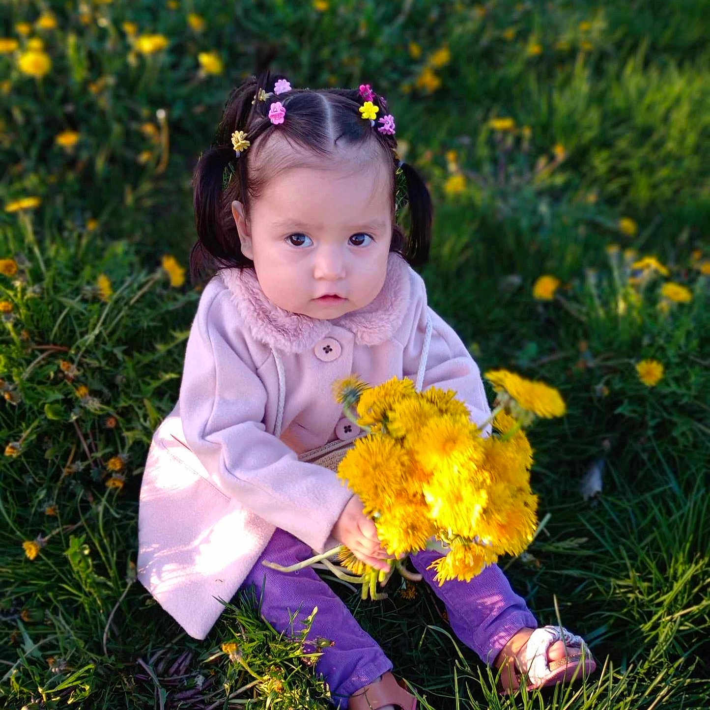 Mónica Lilith joined the competition — help win amazing prizes! child, clothing, daisy, face, female, flower, flowerarrangement, flowerbouquet, girl, grass, head, herbal, herbs, person, petal, photography, plant, portrait, purple, sitting