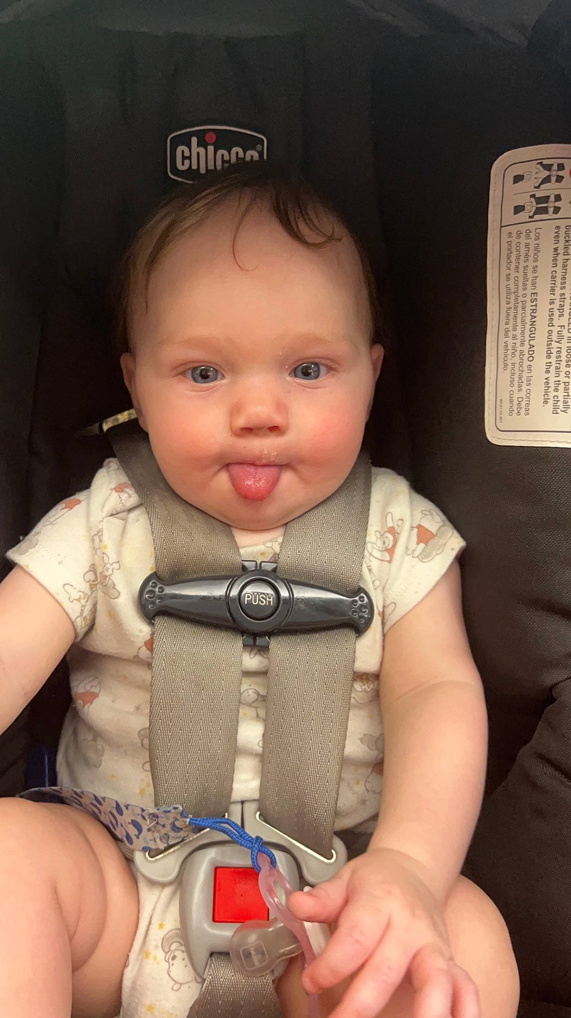 Oliver is registered to the contest to win money with this photo: baby, baby_carriage, baby_products, baby_toddler_clothing, cheek, child, chin, eye, eyebrow, eyelash, head, human_body, iris, nose, person, seat_belt, sitting, skin, smile, thumb