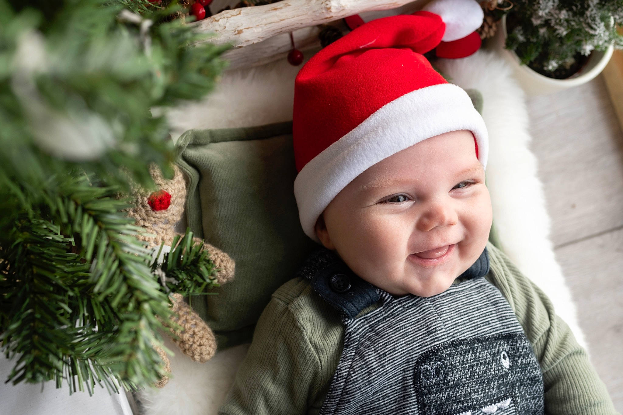 Edward joined the competition — help win amazing prizes! cap, child, christmas, christmas_decoration, christmas_ornament, event, evergreen, eye, green, happy, headwear, holiday, human_body, joy, knit_cap, ornament, person, plant, smile, toddler