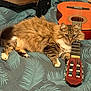 animal, bed, bedspread, brown, cat, cozy, domestic_animal, fluffy, furniture, guitar, indoor, musical_instrument, pet, relaxing, resting, soft, string_instrument, striped, tabby, white