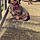 Tessy