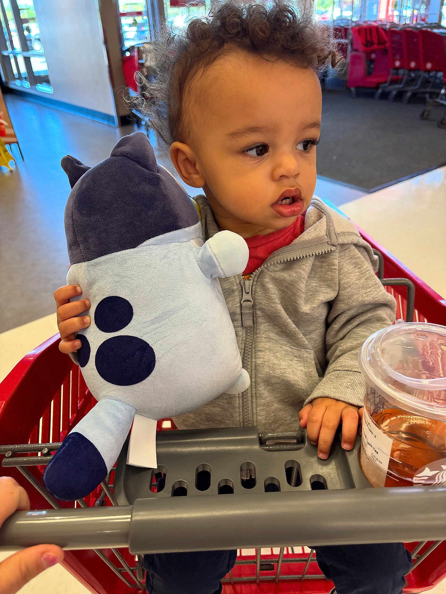Mase joined the competition — help win amazing prizes! toddler, child, shopping_cart, plush_toy, curly_hair, grey_jacket, indoor, store, drink_cup, red_cart, hand, casual_clothing, young_child, shopping, candid, gaze, cute, retail, portrait, curiosity