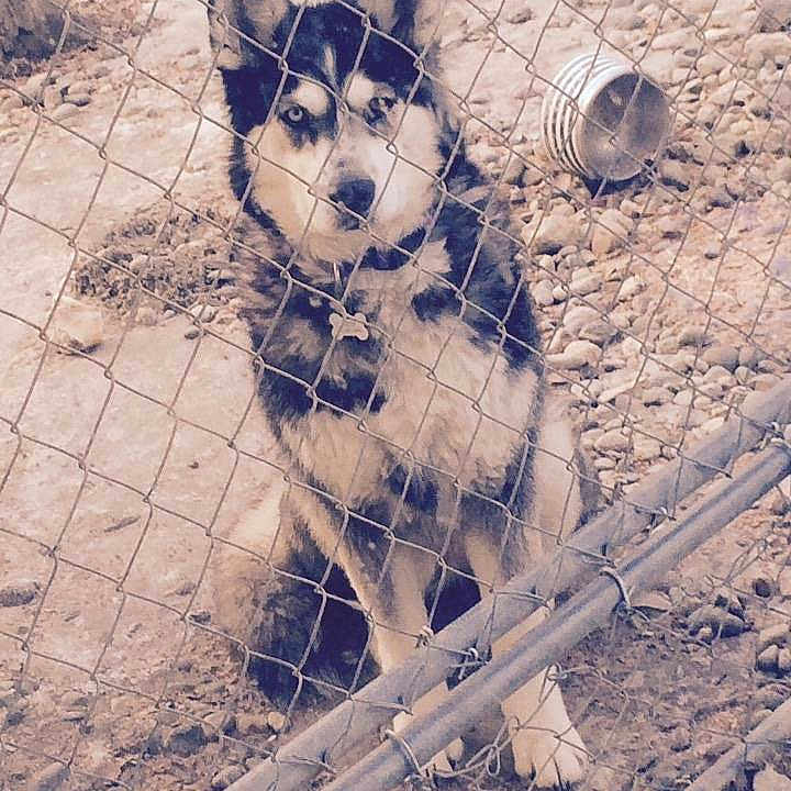 Luska